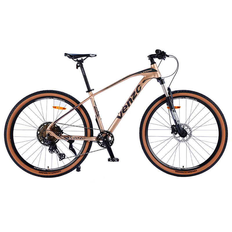 Professional Manufacture Cheap Mountain Bike Dual 